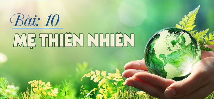 Hình minh họa số 4 (Nguồn: Internet)