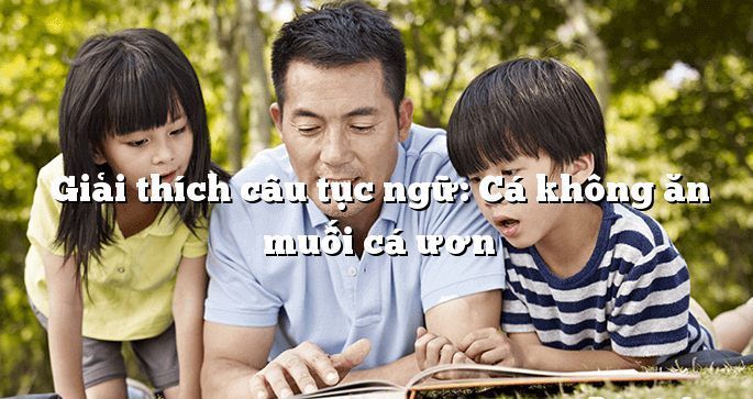 Ảnh minh họa (Nguồn internet) ảnh 1