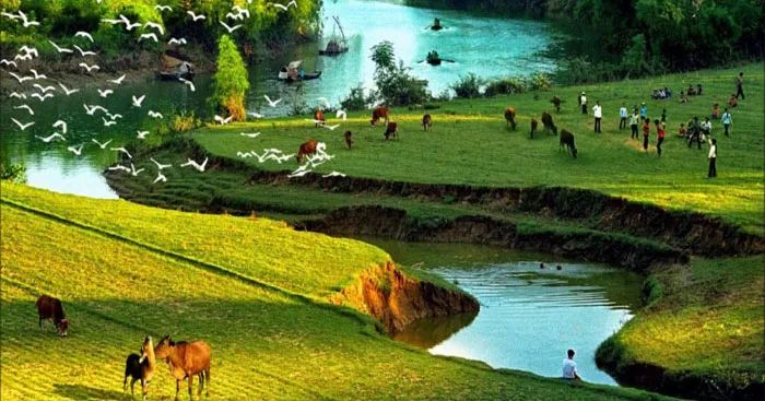Hình ảnh minh họa sinh động (Nguồn: internet)