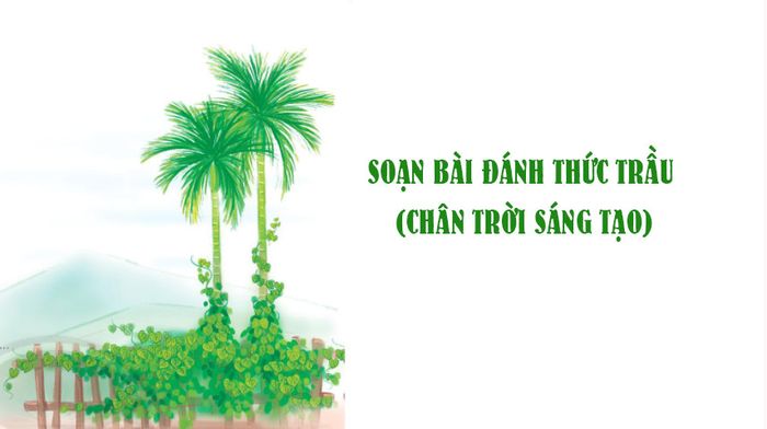 Hình ảnh minh họa sống động (Nguồn: Sưu tầm)