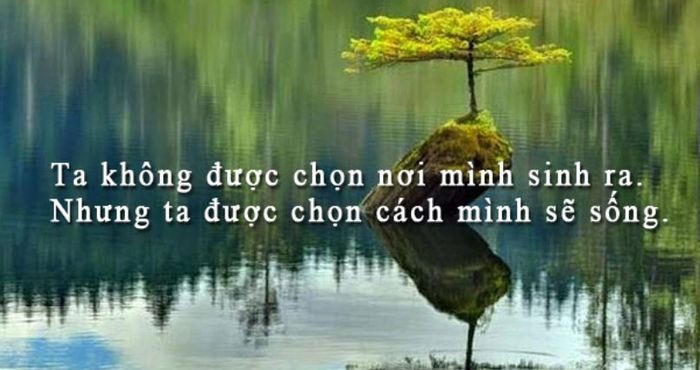 Hình ảnh minh họa về sự vượt khó (Nguồn: internet)
