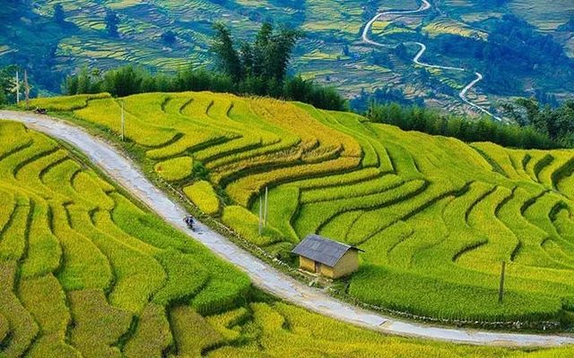 Hình ảnh minh họa tác phẩm (Nguồn: Internet)