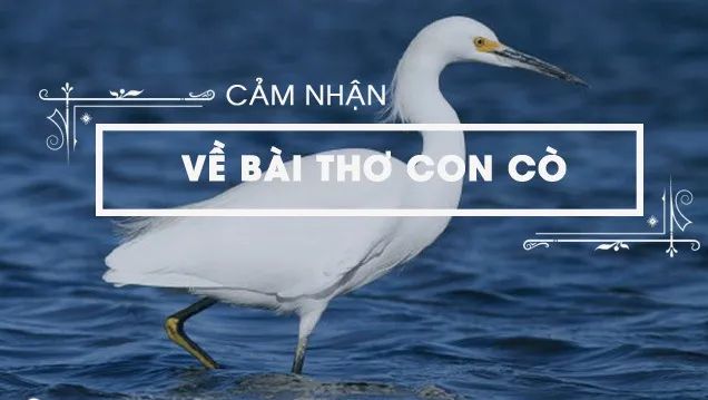 Hình minh họa đầy cảm xúc (Nguồn: Internet)