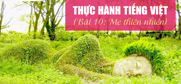 Hình minh họa số 5 (Nguồn: Internet)