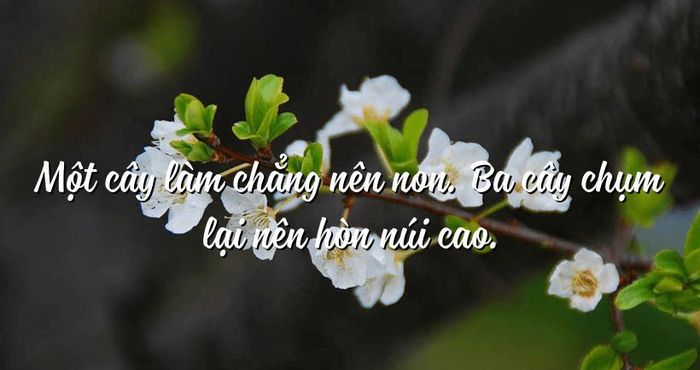 Hình ảnh minh họa sinh động - Nguồn tư liệu đa dạng từ internet