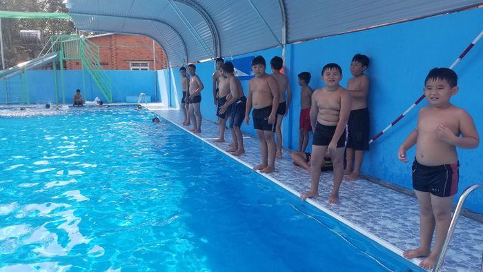 Không gian xanh mát tại Hồ Bơi Thạch Sanh (ảnh 1)