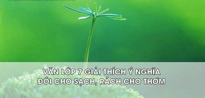 Hình ảnh minh họa sinh động (Nguồn: internet) ảnh 1