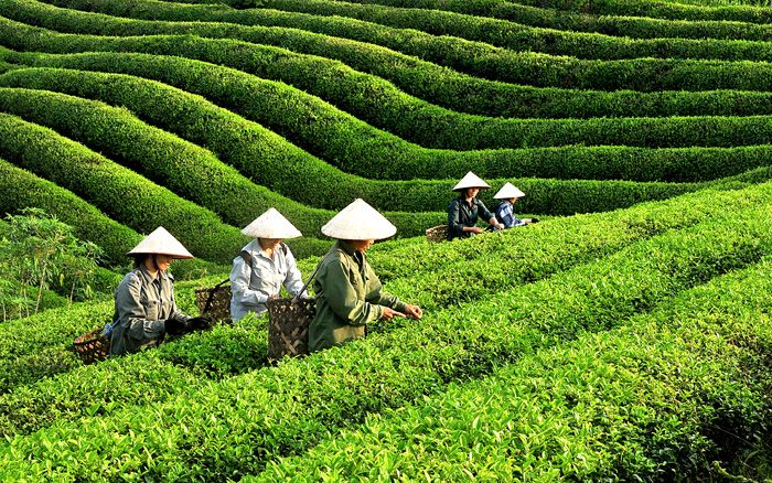 Ảnh minh họa (Nguồn internet) ảnh 1