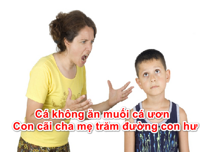 Ảnh minh họa (Nguồn Internet) ảnh 1