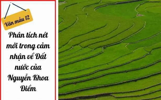 Hình ảnh minh họa đặc sắc (Nguồn: internet)