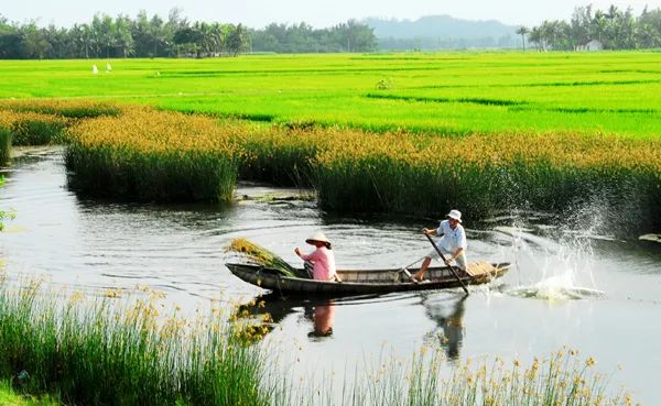Hình ảnh minh họa đặc sắc (Nguồn: internet)