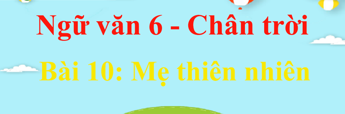 Hình ảnh minh họa số 1 (Nguồn: Internet)