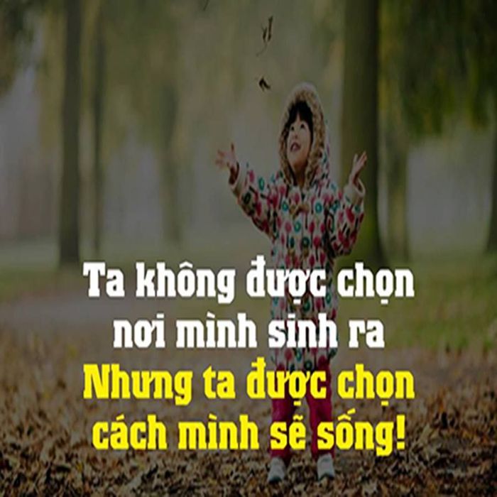 Hình ảnh minh họa ý nghĩa về sự lựa chọn cuộc sống (Nguồn: internet)