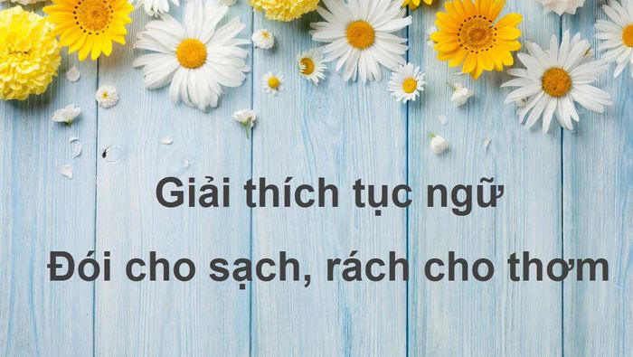 Hình ảnh minh họa sinh động (Nguồn: internet) ảnh 1