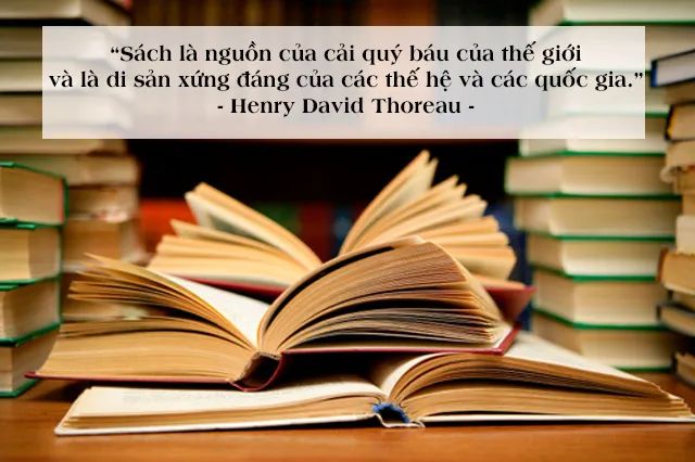 Hình ảnh minh họa sinh động (Nguồn: internet)