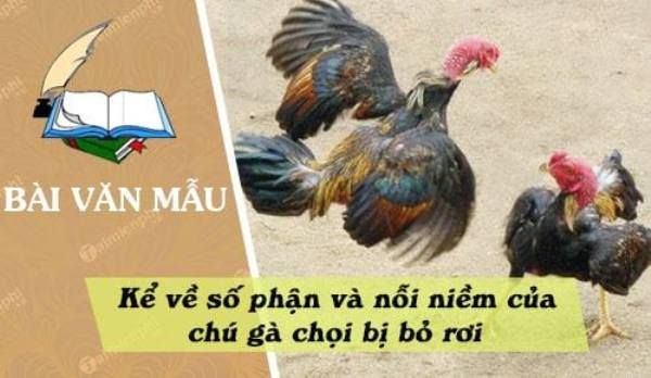 Ảnh minh họa (Nguồn internet) ảnh 1
