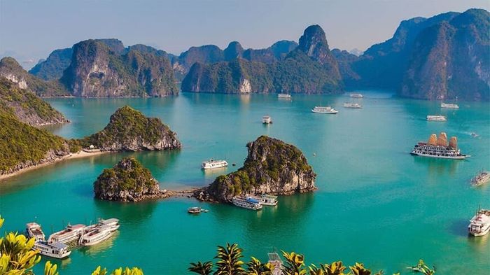 Bộ sưu tập ảnh nghệ thuật về Vịnh Hạ Long (Nguồn: Kho tư liệu du lịch quốc tế)