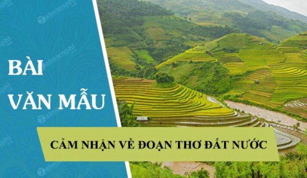 Hình minh họa nghệ thuật (Nguồn: Tư liệu sáng tác)