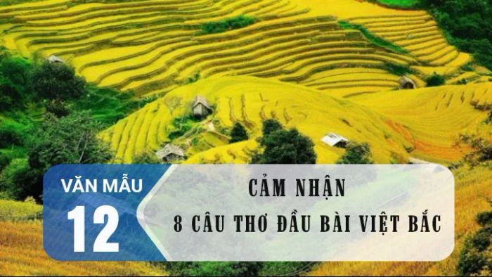 Hình ảnh minh họa tác phẩm (Nguồn: Internet)