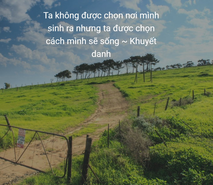 Hình ảnh minh họa ý nghĩa (Nguồn: internet) - ảnh 1