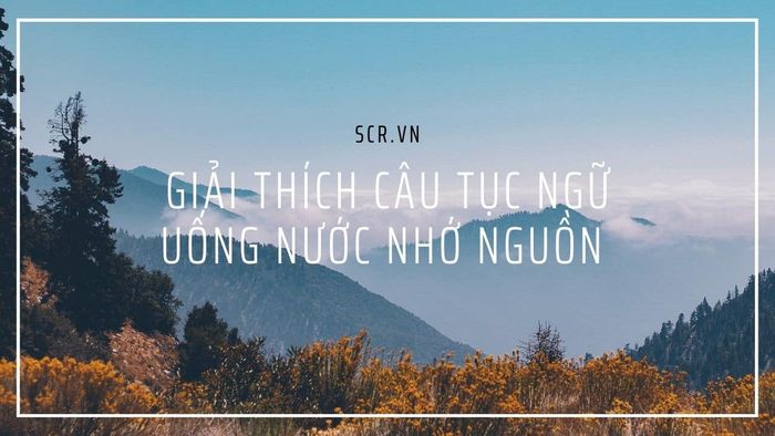 Hình ảnh minh họa sinh động (Nguồn: internet)