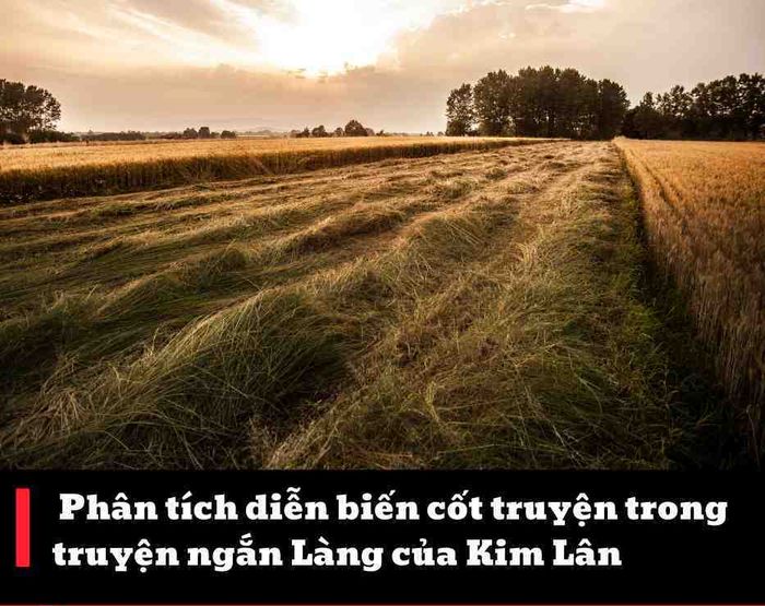 Hình ảnh minh họa đặc sắc (Nguồn: Internet)