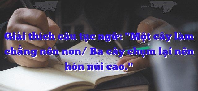 Hình ảnh minh họa sinh động - Nguồn tư liệu đa dạng từ internet