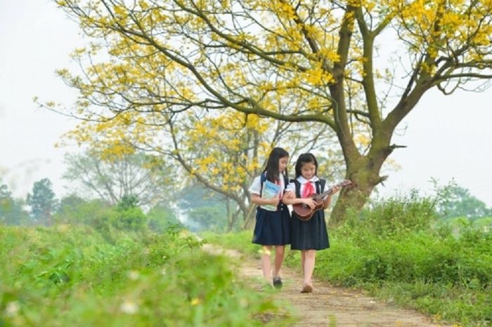 Tranh minh họa sống động (Nguồn: Kho tư liệu trực tuyến) - Hình ảnh 1