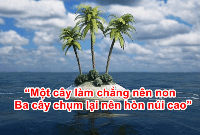 Hình ảnh minh họa sinh động - Nguồn tư liệu đa dạng từ internet