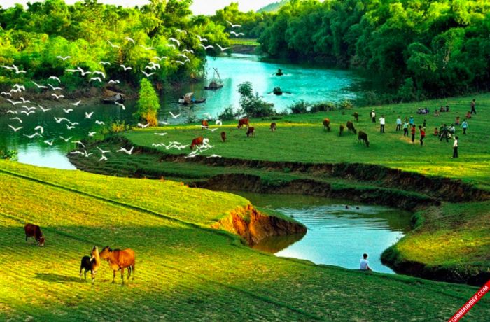 Hình ảnh minh họa chân thực về làng quê Bắc Bộ (Nguồn: Internet)