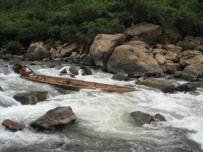 Hình ảnh minh họa sống động (Nguồn: Bộ sưu tập nghệ thuật điện tử)