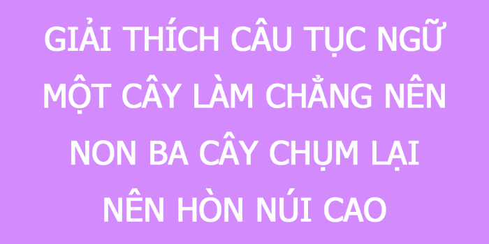 Hình ảnh minh họa số 1 - Tư liệu phong phú từ nguồn internet