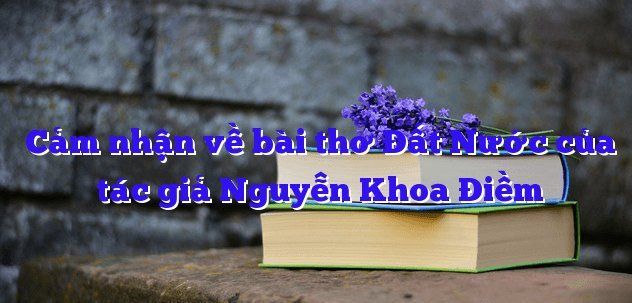 Hình ảnh minh họa chọn lọc (Nguồn: Sưu tầm)