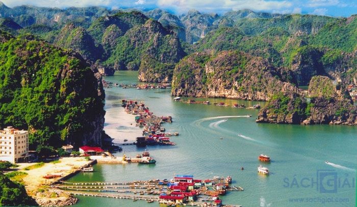 Bức ảnh minh họa số 1 (Nguồn: Internet)