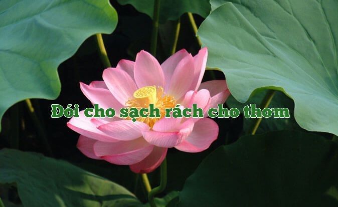 Hình ảnh minh họa trực quan (Nguồn: internet) ảnh 1