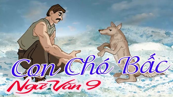 Ảnh minh họa (Nguồn internet) ảnh 1