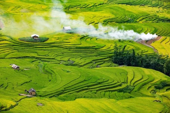 Hình ảnh minh họa tác phẩm (Nguồn: Internet)