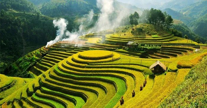 Hình ảnh minh họa tác phẩm (Nguồn: Internet)