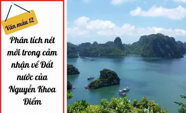 Hình ảnh minh họa đặc sắc (Nguồn: internet)