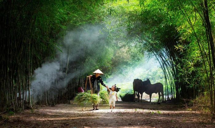 Hình ảnh minh họa sống động (Nguồn internet)