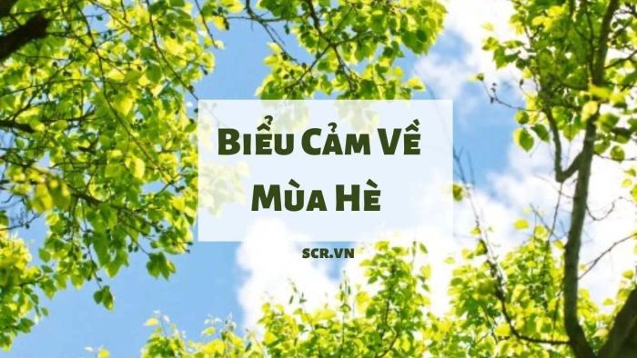 Ảnh minh họa (Nguồn internet) ảnh 1