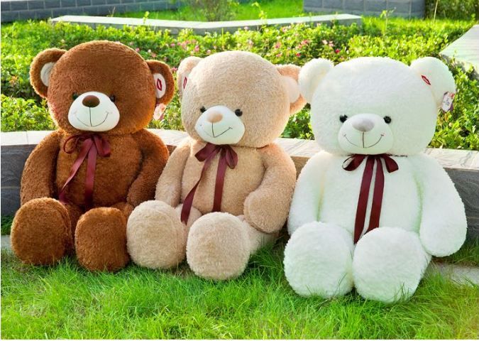 Hình ảnh minh họa chú gấu bông đáng yêu