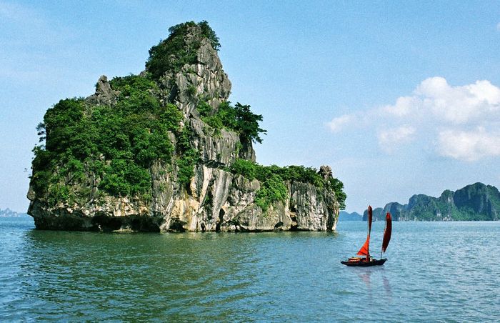 Hình ảnh minh họa tuyệt đẹp (Nguồn: internet)