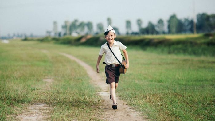 Ảnh minh họa: Lượm trên cánh đồng lúa (Nguồn: Tổng hợp)