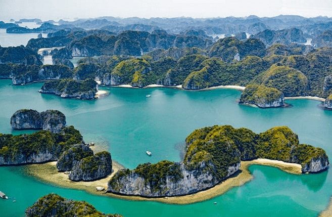Hình ảnh minh họa sống động (Nguồn: internet)