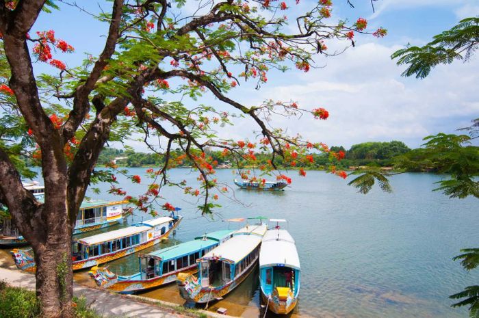 Hình ảnh minh họa (Nguồn từ internet) - ảnh 1