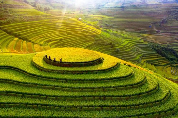 Tư liệu hình ảnh minh họa (Nguồn: internet)
