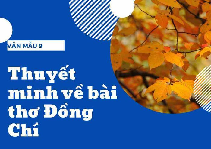 Ảnh Minh Họa (Nguồn Internet) Ảnh 1