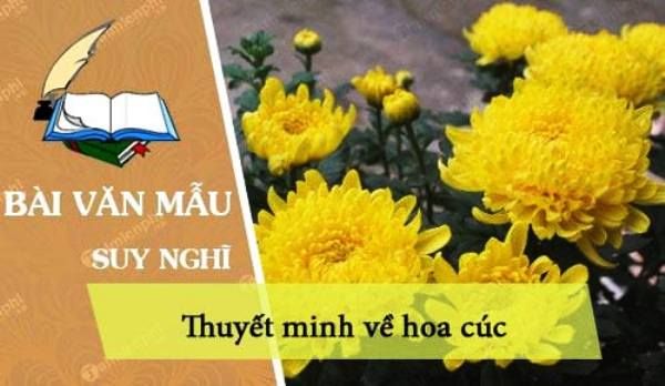 Hình ảnh minh họa tuyệt đẹp (Nguồn: internet) ảnh 1