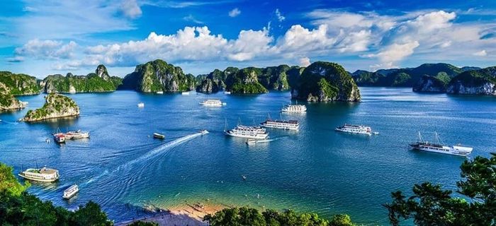 Hình ảnh minh họa tuyệt đẹp (Nguồn: internet)